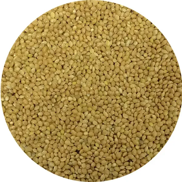 Perle Morbide gele gierst zaad voor parkieten per kilo