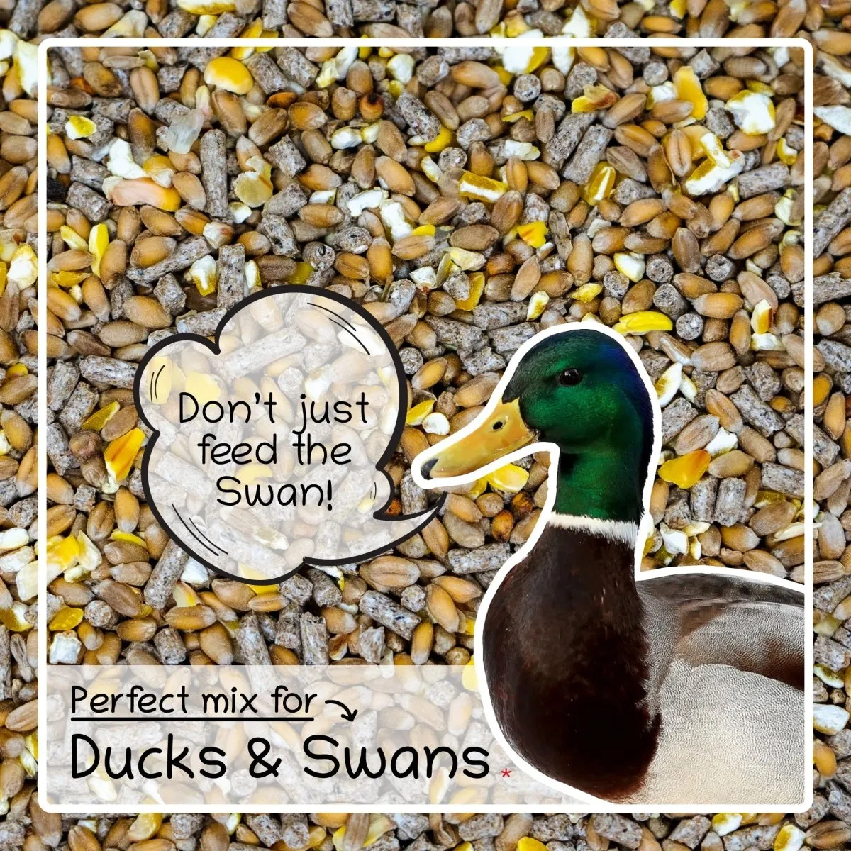 Seedzbox Duck Swan eendenvoer 1kg met tarwe
