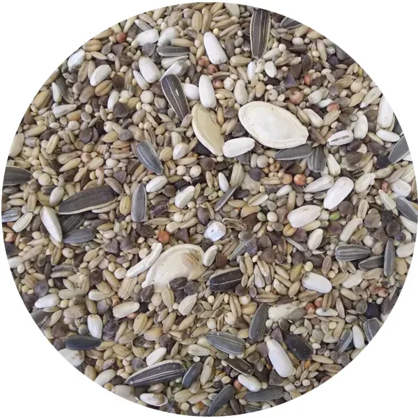 Perle Morbide Special Parrot papegaaienvoer zonder mais