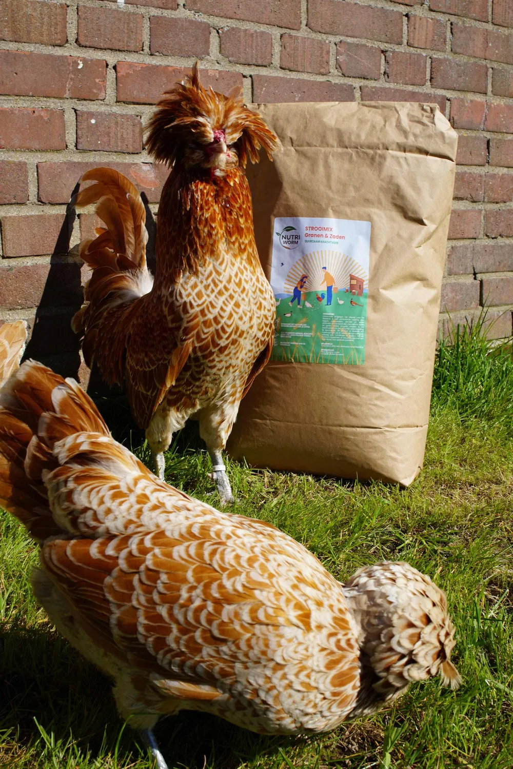 Samenwerken met de Natuur Strooimix granen en zaden 4 kg scharrel