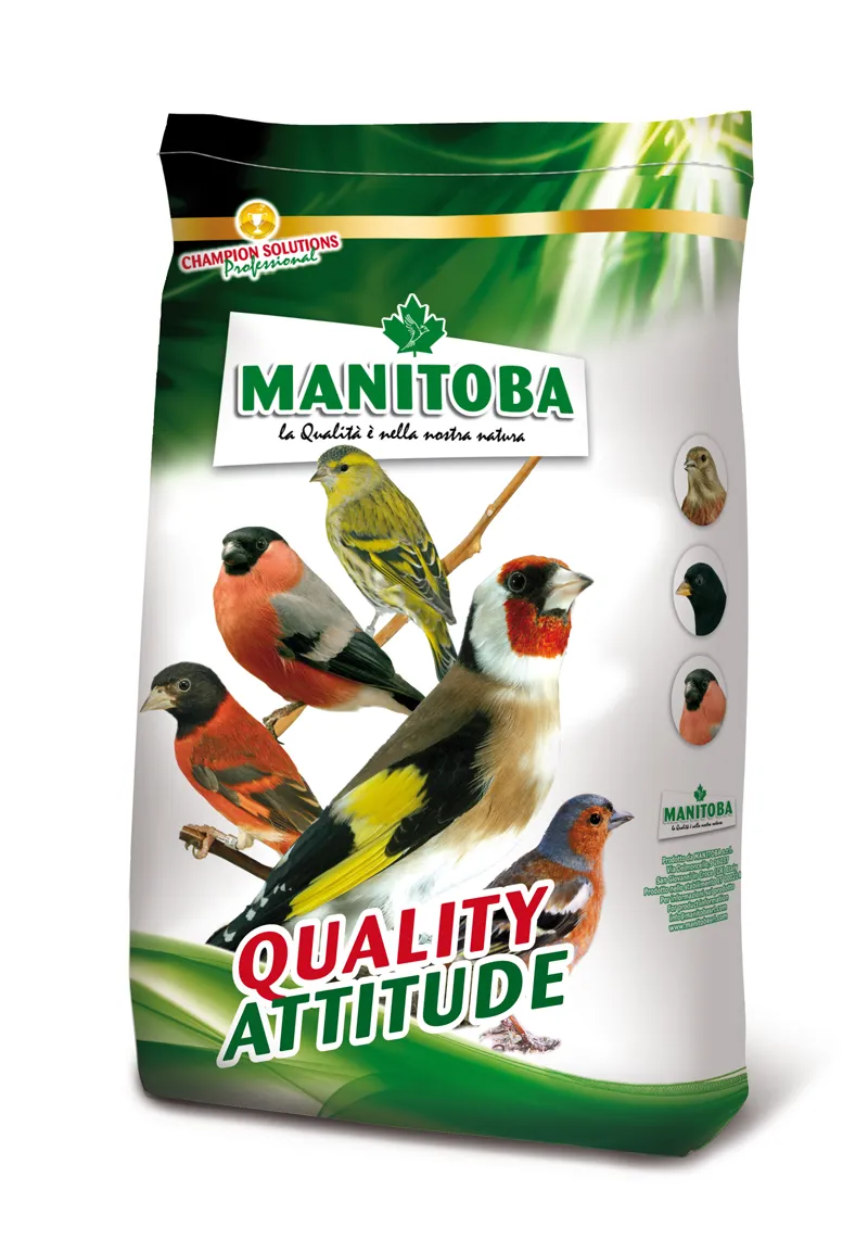Manitoba Spinus Extra Fancy sijzenzaad 2,5 kg nigerrijk