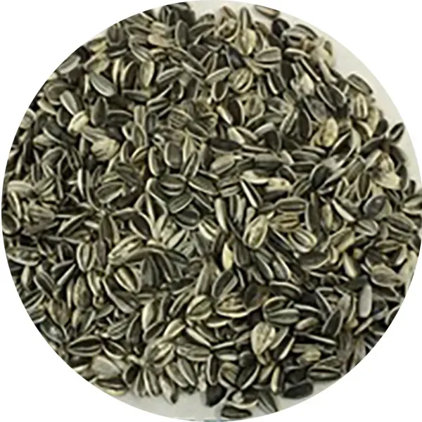 Perle Morbide Streaked Sunflower vogelzaad gestreept