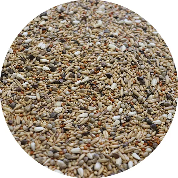 Perle Morbide Agapornis Mixture zaad met gepelde haver