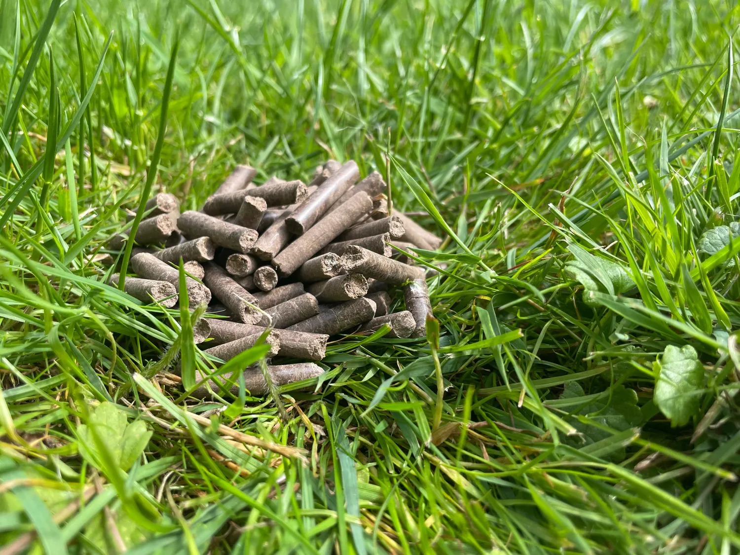 Samenwerken met de Natuur Meelwormenmest Frass korrels 5 kg bodem