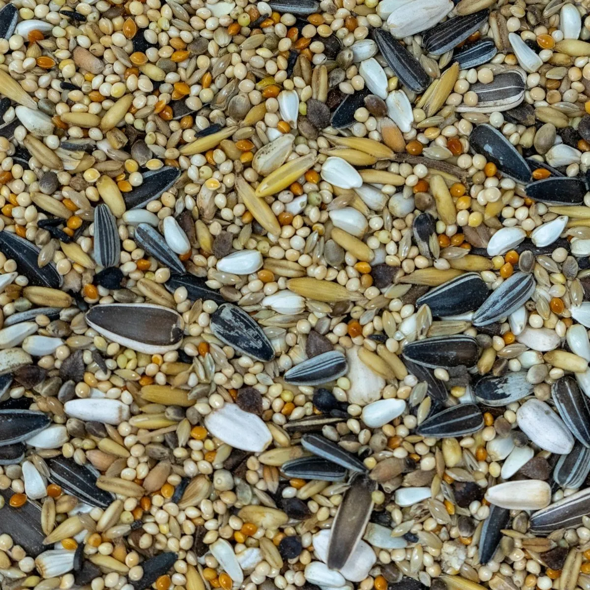 Seedzbox Ultimate Deluxe valkparkiet vogelvoer 1kg eiwitrijk