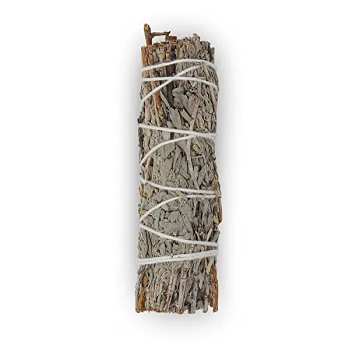 Seedzbox smudge sticks salie 3 stuks witte salie