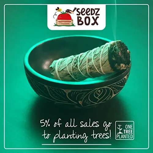 Seedzbox smudge sticks salie 3 stuks witte salie