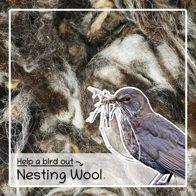Seedzbox Nesting Wool nestmateriaal vogels Red Barn wol
