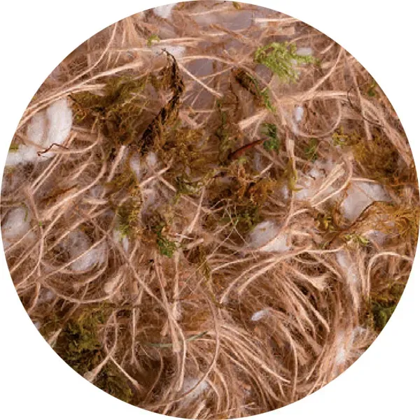 Perle Morbide Jute Cotton Moss nestmateriaal natuurlijk