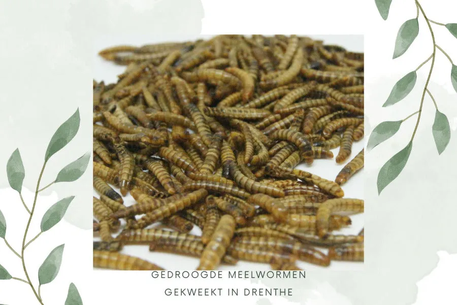 Samenwerken met de Natuur Gedroogde Meelwormen kippensnack 1 kg eiwitrijk