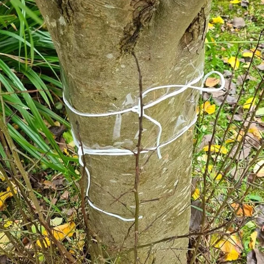 Seedzbox lijmband fruitbomen 1m 2 stuks tegen kruipers