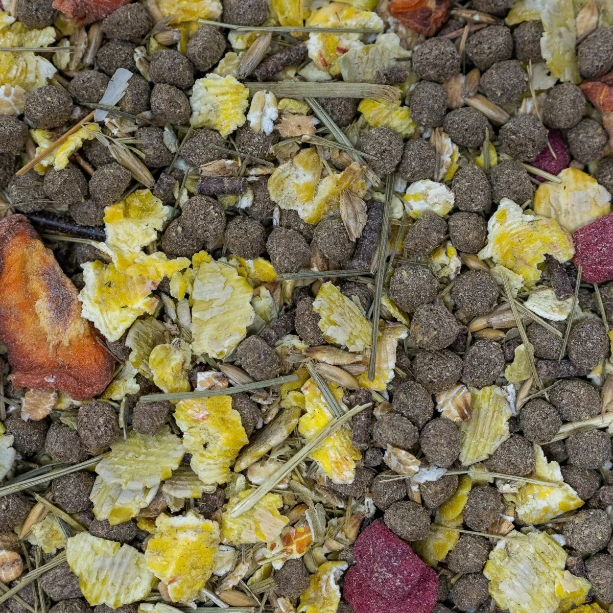 Seedzbox Ultimate Deluxe cavia muesli 1,8 kg krokant