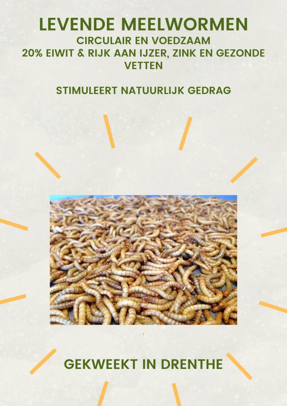 Samenwerken met de Natuur Levende Meelwormen kippensnack 500 gram vers