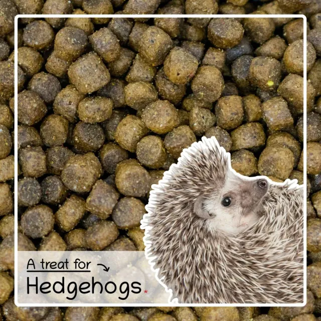 Seedzbox Ultimate Deluxe Hedgehog egelvoer 750 g compleet