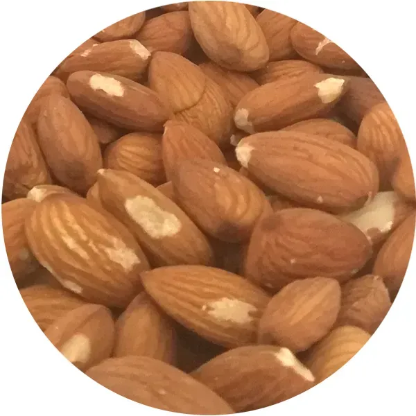 Perle Morbide Shelled Almonds vogelvoer amandelen gepeld