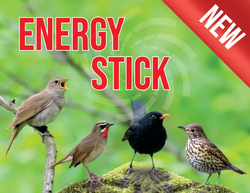 Perle Morbide Energy Stick krachtvoer 34% eiwit