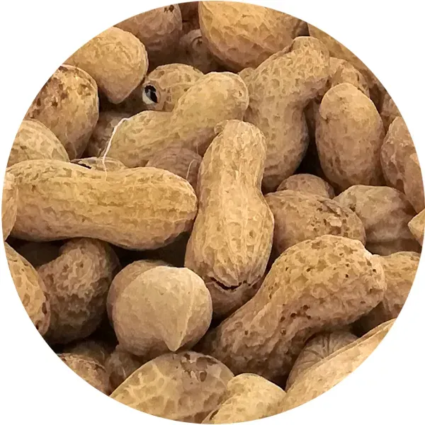 Perle Morbide Peanuts pinda met dop papegaaien