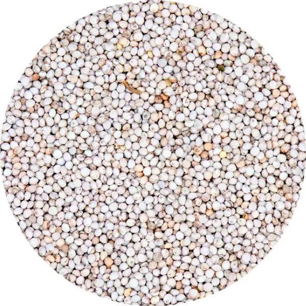 Perle Morbide White Perilla vogelzaad wit perillazaad