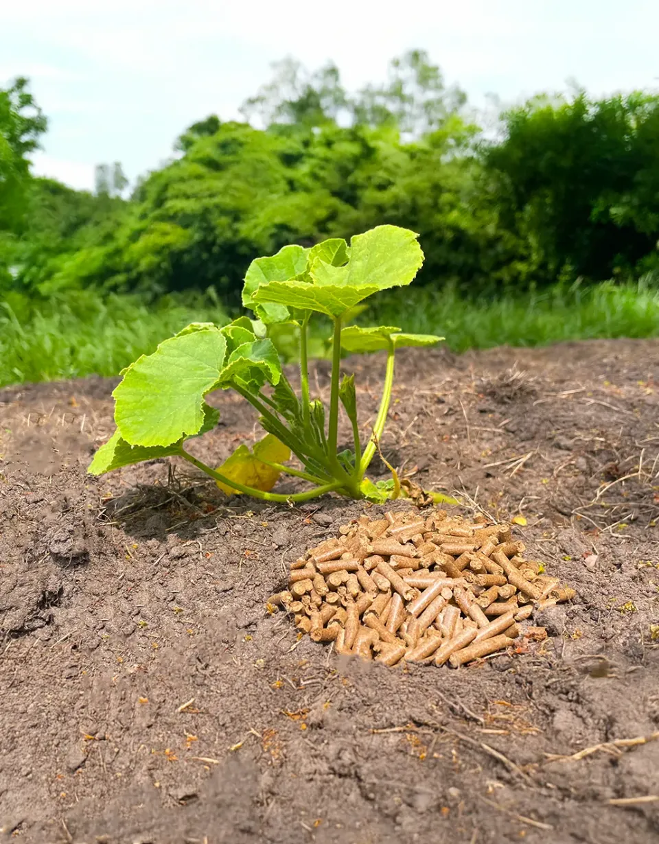 Samenwerken met de Natuur Meelwormenmest Frass korrels 5 kg bodem