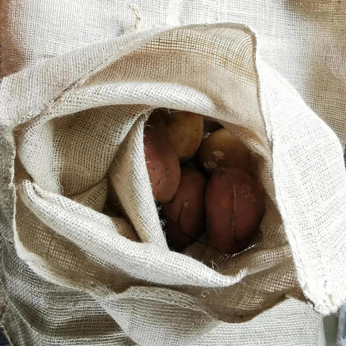 Seedzbox jute aardappelzak 25 kg set van 2 ademend
