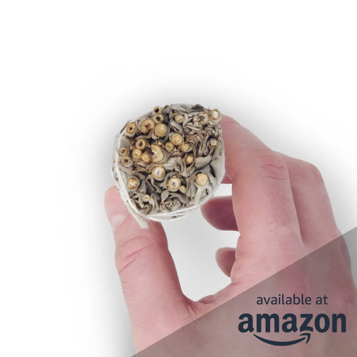 Seedzbox Desert Sage smudge sticks salie 3 stuks 10 cm