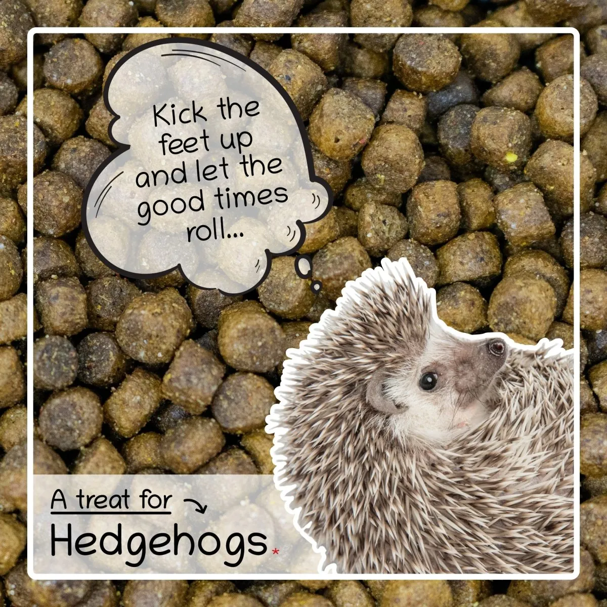 Seedzbox Ultimate Deluxe Hedgehog egelvoer 750 g compleet