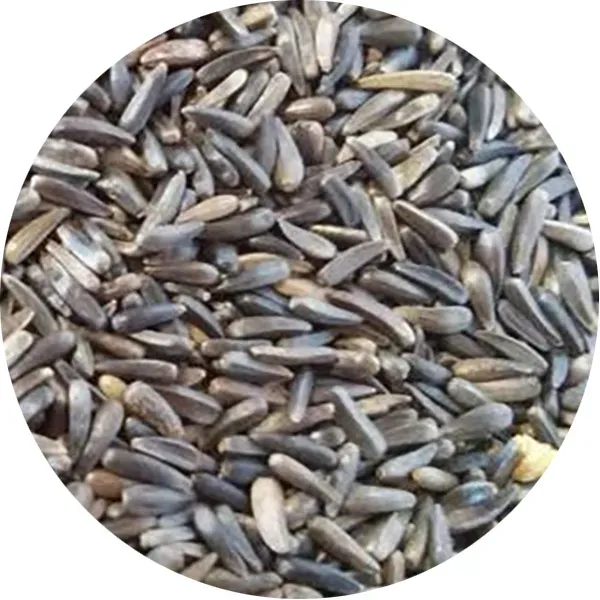 Perle Morbide Ventilated Niger nigerzaad geventileerd