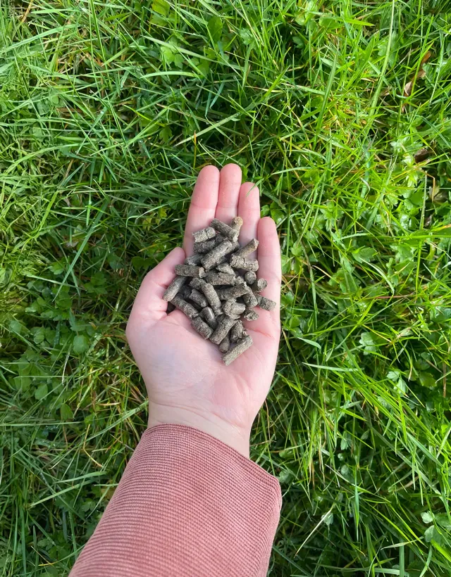 Samenwerken met de Natuur Wolkorrels schapenwolmest 5 kg stikstof