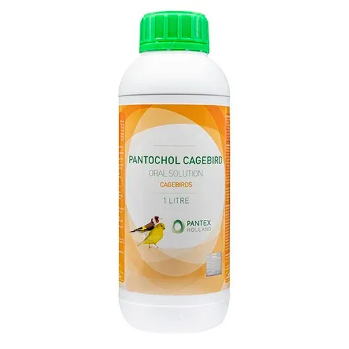 Pantex Holland Pantochol Cagebird supplement kooivogels