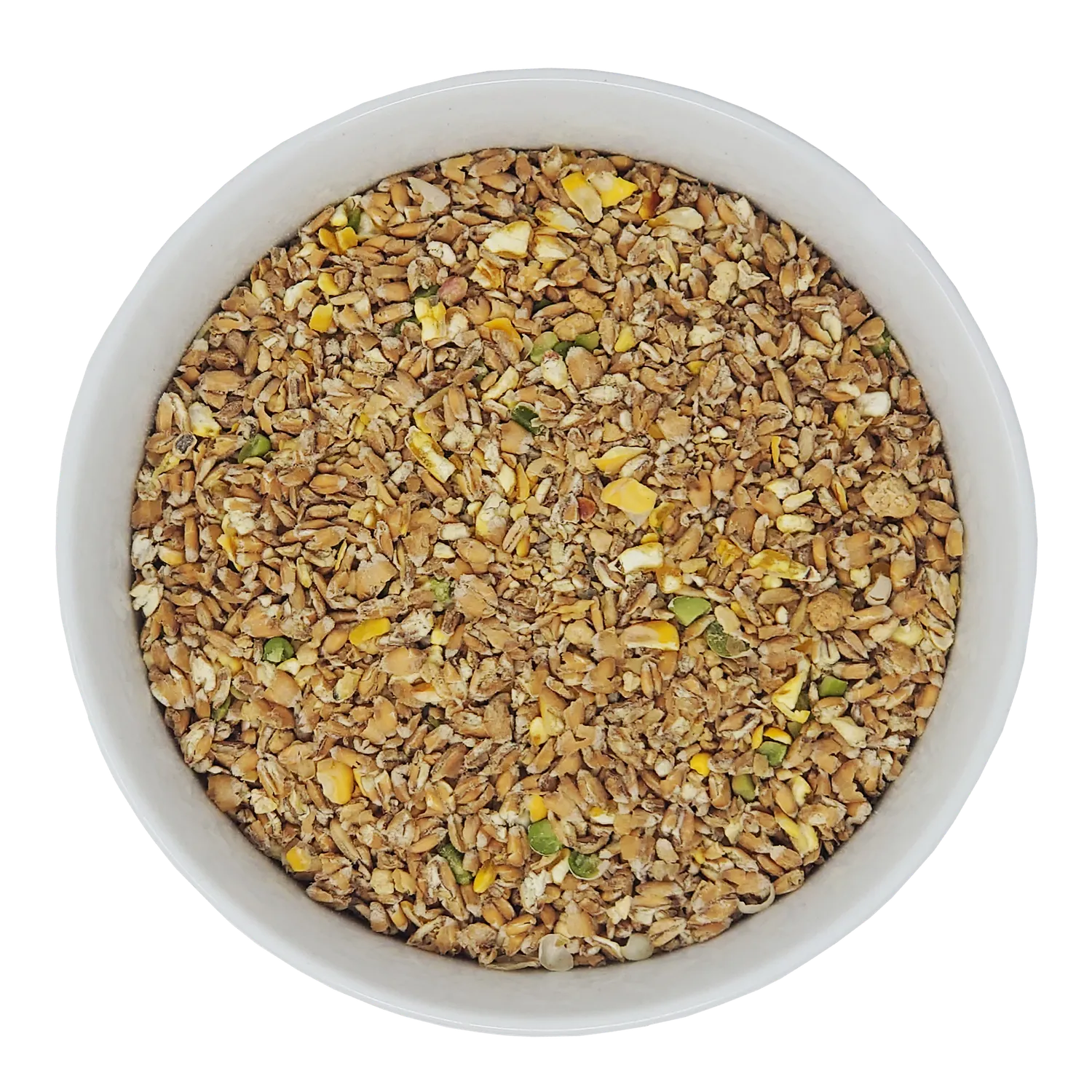 Seedzbox Layers Meal leghennenvoer 4 kg met calcium