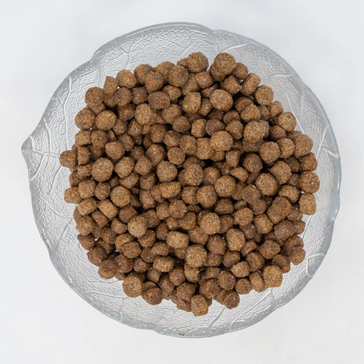 Seedzbox Fox Badger vossenvoer 1kg eiwitrijk