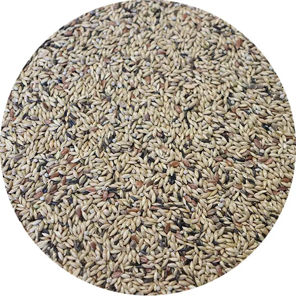 Perle Morbide Canaries Extra kanarievoer met perilla 5 zaden