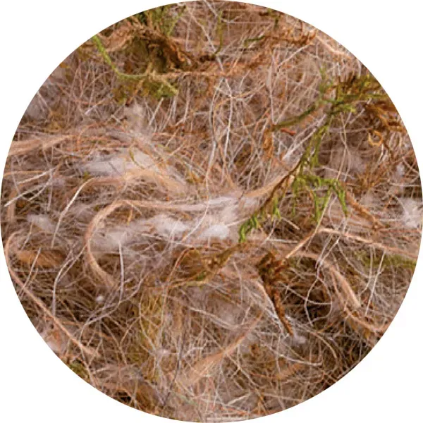 Perle Morbide Animal Vegetable Moss nestmateriaal wildzang