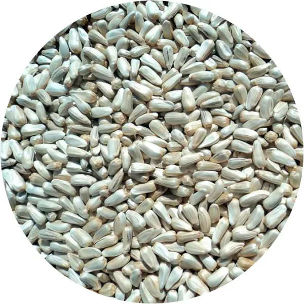 Perle Morbide Safflower vogelzaad saffloer per kilo