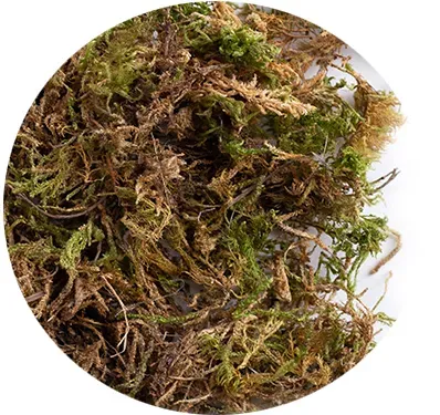 Perle Morbide Moss nestmateriaal mos voor vogels
