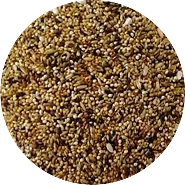 Perle Morbide Mixture Neophema zaad voor neophema's