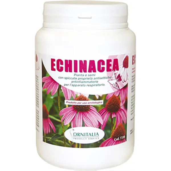 Perle Morbide Purple Echinacea vogelzaad 3-5 mm
