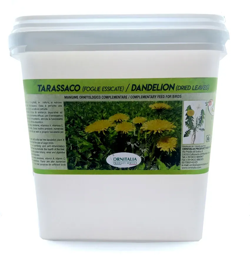 Perle Morbide Dandelion paardenbloemblad gedroogd