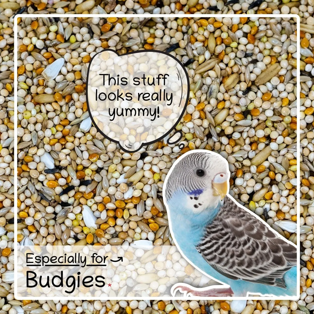 Seedzbox Budgerigar parkietenvoer 1kg met gierst