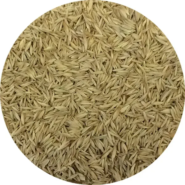 Perle Morbide Machine Grass grasmat vogels nestmateriaal