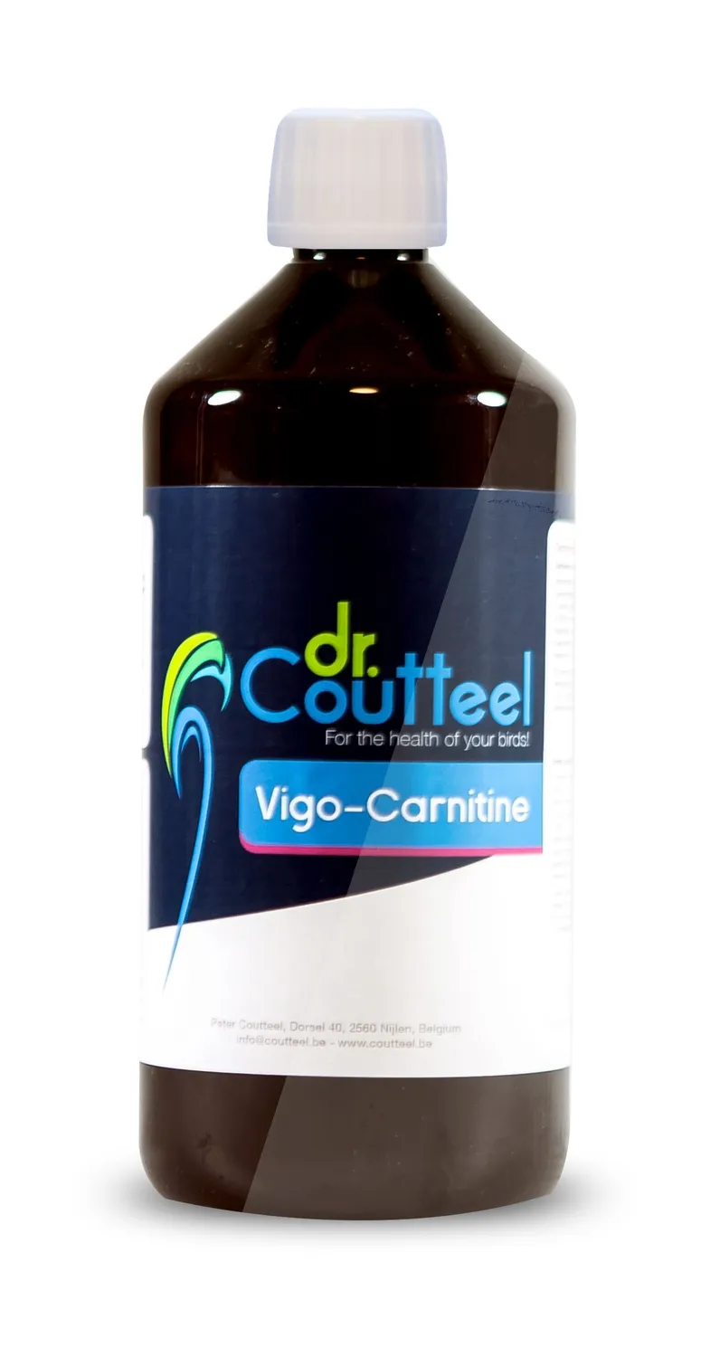 Pantex Holland Vigo-Carnitine vloeistof 250ml voor duiven