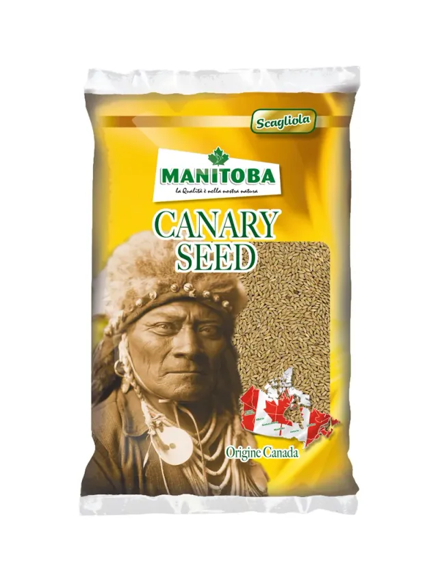 Manitoba Scagliola glanszaad 1 kg voor kanaries