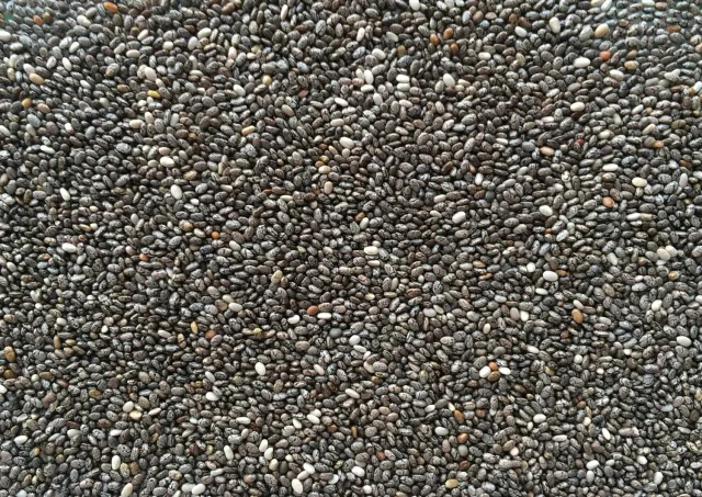 Manitoba Chia chiazaad 1 kg omega voor parkieten