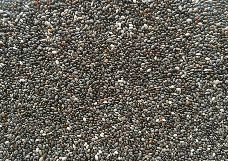 Manitoba Chia vogelzaad 1 kg chiazaad