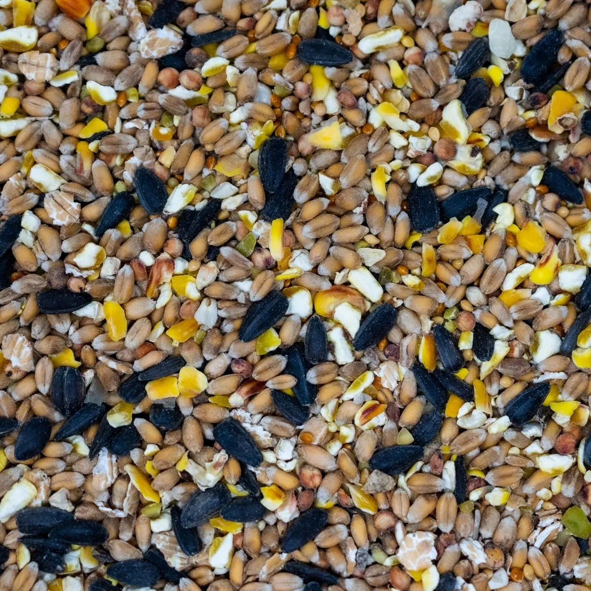 Seedzbox kippenvoer conditioner pluimvee 4kg eiwitrijk